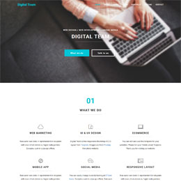 Digital Team HTML Template