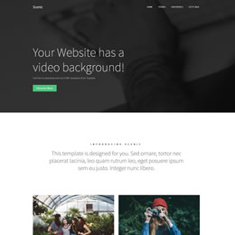 Scenic HTML Template